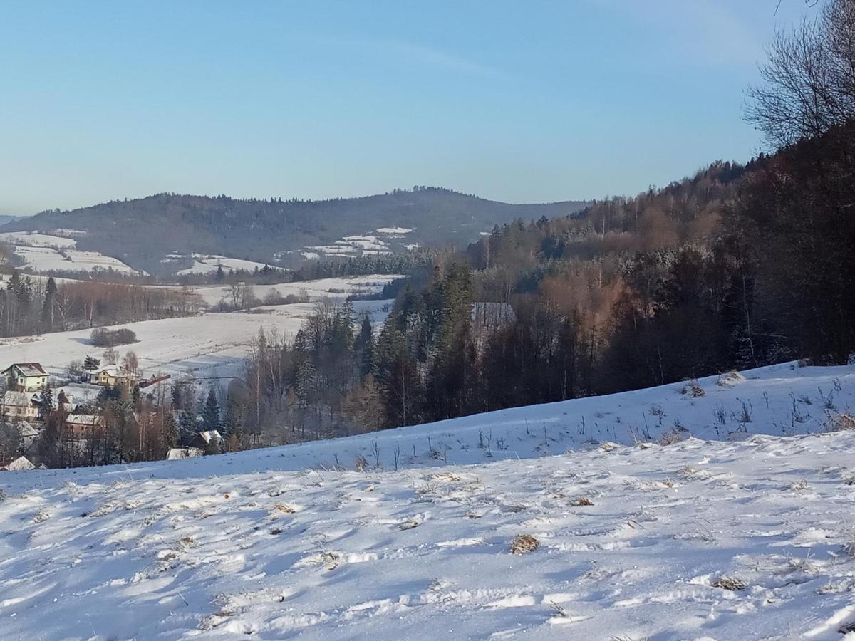 Bystra Dom W Gorach Przy Szlaku别墅 外观 照片
